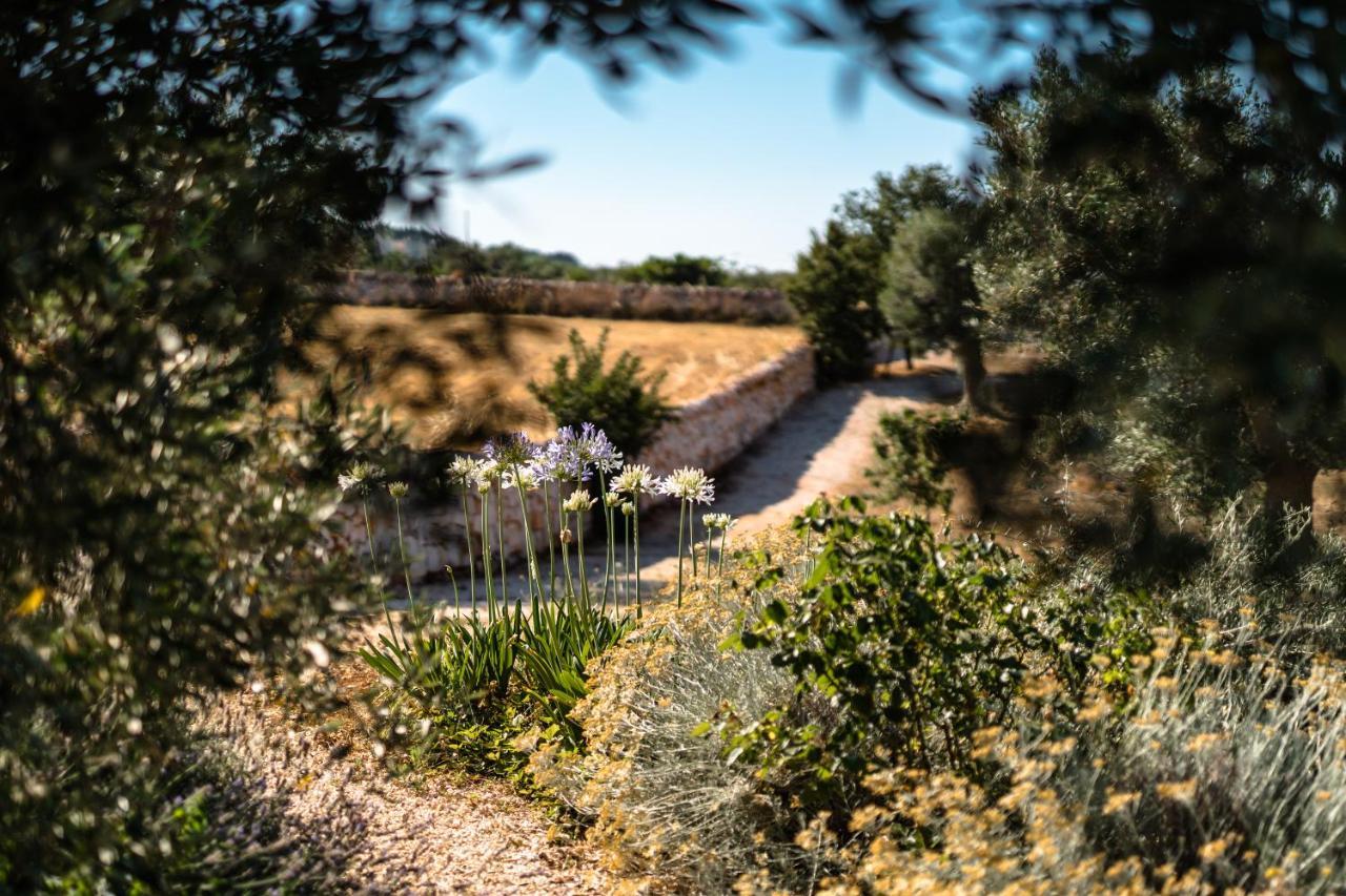 Trulli Ad Maiora Villa Алберобело Екстериор снимка